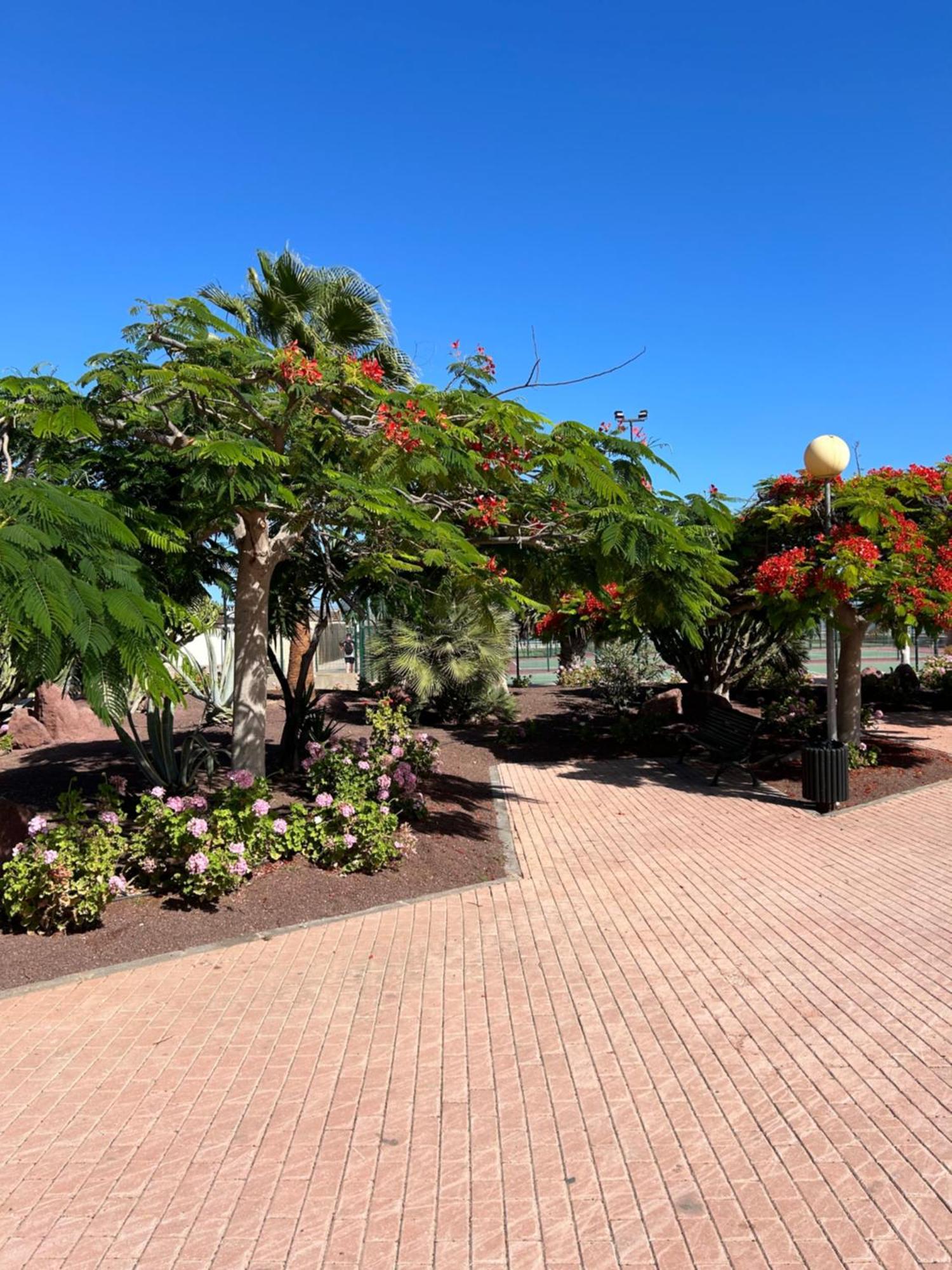 Ferienwohnung Honey Bunch Caleta De Fuste Exterior foto